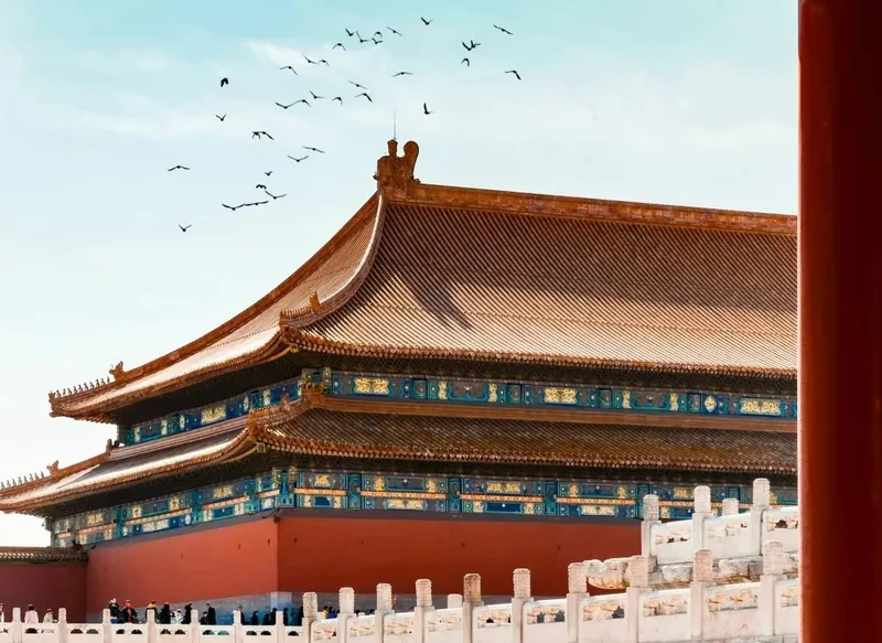Birds over a hall roof