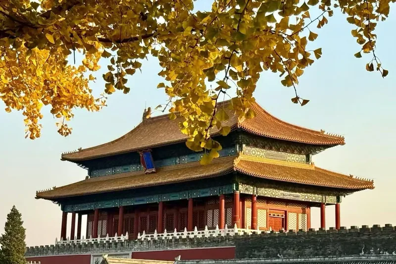 Autumn ginkgo leaves against a temple roof